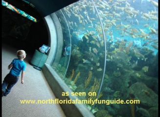 florida marine aquarium society