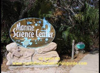 Marine Science Center - Ponce Inlet, Florida