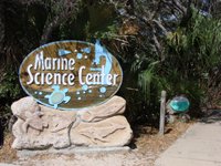 Marine Science Center,Ponce Inlet, Florida